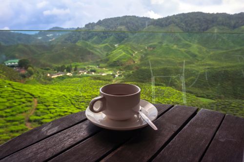 Tassee kaffee landschaft