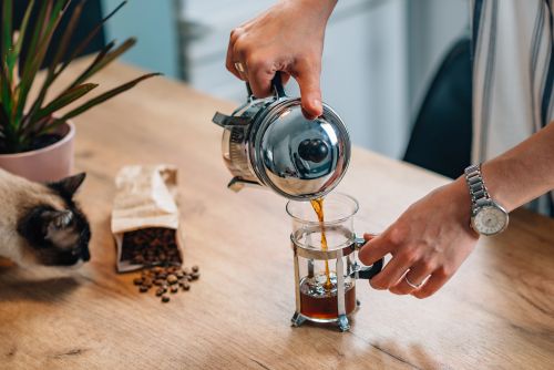 french press kaffee test bild